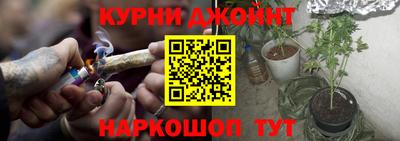 jwh Будённовск