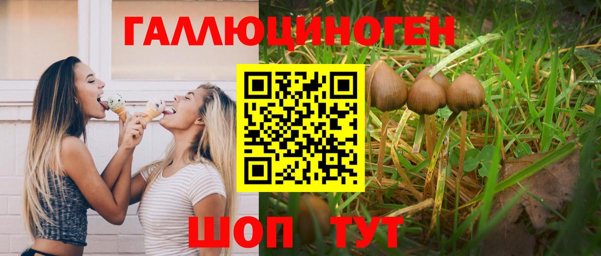 Псилоцибиновые грибы мухоморы  Вход с VPN  где купить наркоту  Галлюциногенные грибы Cubensis  Кувандык 