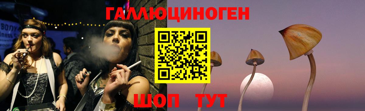 Галлюциногенные грибы Psilocybe Кувандык